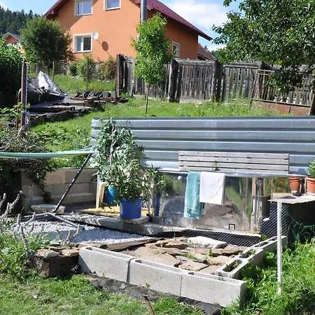 Campingplads Dvor Pod Krikmi *